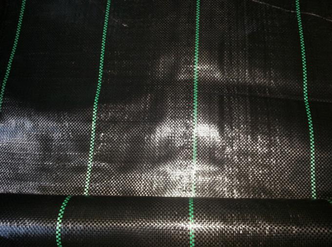 Polypropyleen Geweven Plastic Gronddekking, 4.2x100m 100gsm Zwarte Tuinstof