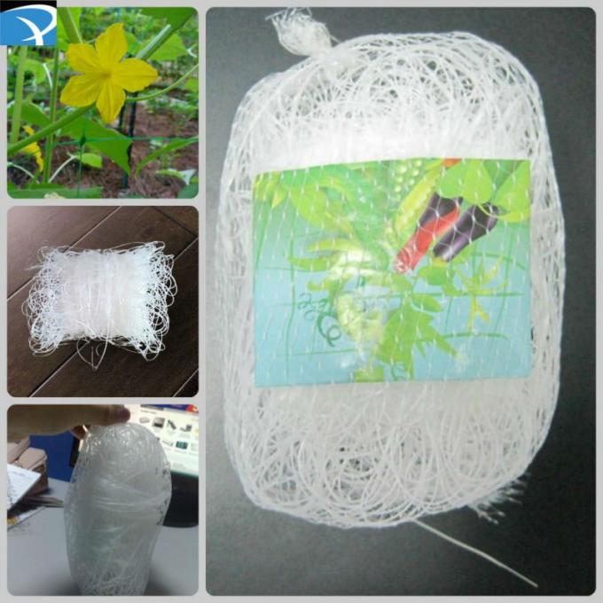 Verticale Gebruikte Plastic Netto Installatiesteun, de Komkommerlatwerk van pp het Witte Opleveren
