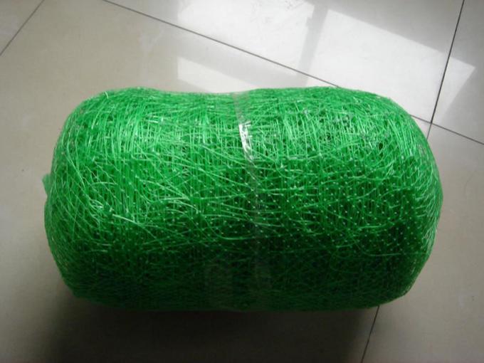 2m*10m Klimplantsteun Netto voor Erwt/Boon in Plastic Zak wordt ingepakt die