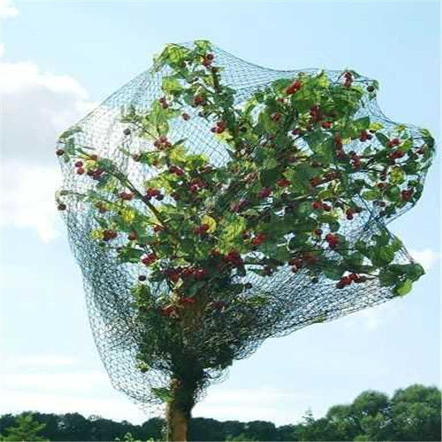 Hoog - de Vogel van het dichtheidspolyethyleen het Opleveren voor Installaties/van Fruitbomen Omslag breide Type