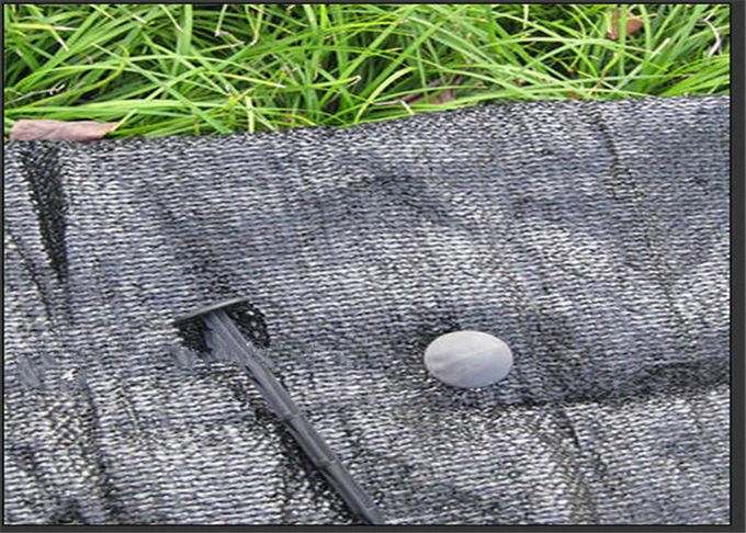 Het landbouw Plastic Zwarte Membraan voor Tuinen beschermt Installaties in de Beschikbare Grondoppervlakte