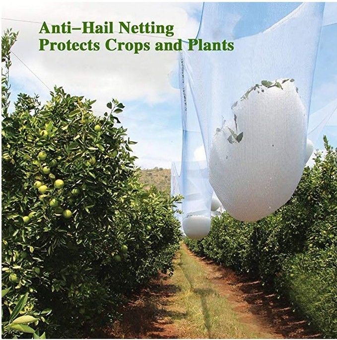 Het landbouwhdpe Witte de Boom van het Antihagel Netto, UV Gestabiliseerde Fruit Opleveren